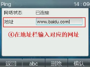 Entering a website address in the phone Ping tool