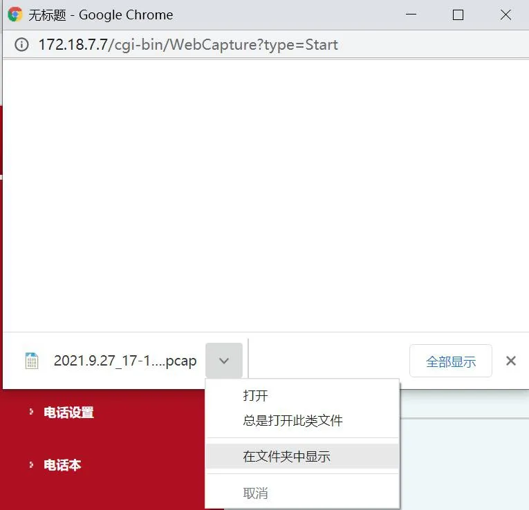 Completed packet capture download